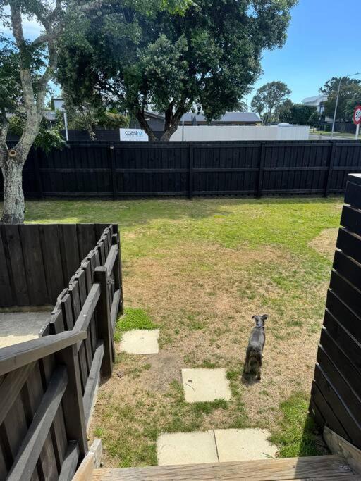 Ultimate Family Holiday - Pet Friendly! Papamoa Exterior foto